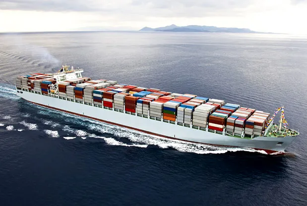 20 foot container loading of Pakistan rice for wholesale export