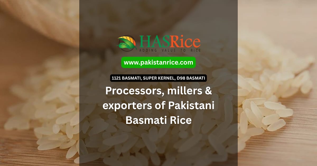 Pakistan Gate Rice Basmati Rice from Pakistan | 1121, Super Kernel, D98