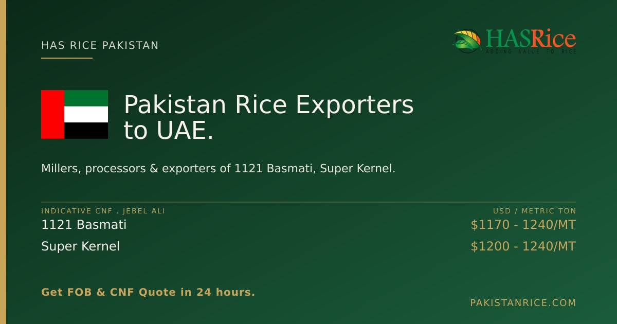 Import Pakistan Rice to UAE | Pakistan Rice