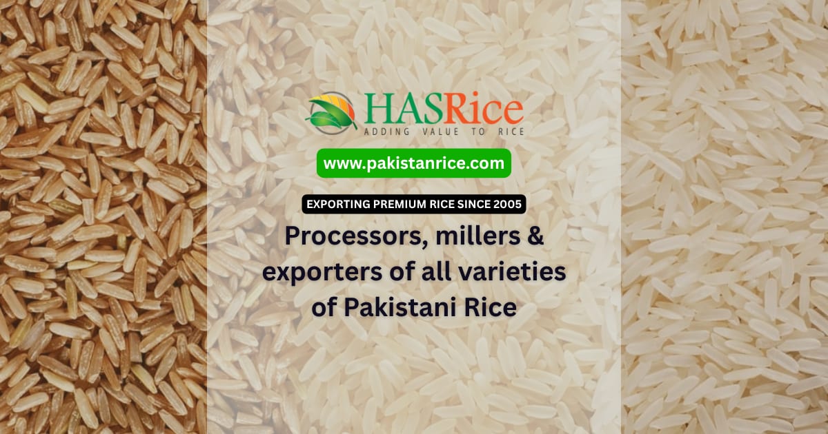 Types Of Rice In Pakistan Pakistan Rice Varieties | 1121 Basmati, IRRI-6, PK386