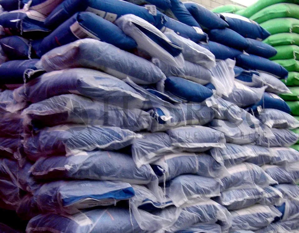 Loading 1121 Basmati Rice bags into 20ft container