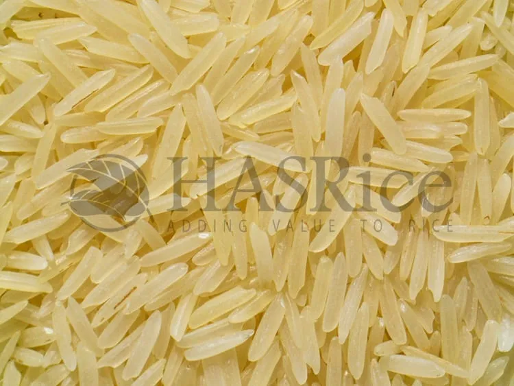 1121 Sella Basmati Rice golden grains