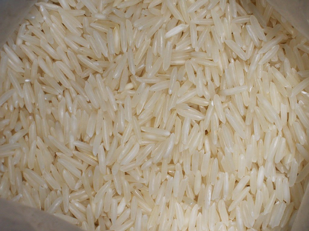 Featured image for "As the harvesting of aromatic rice continues, farmers complain of low basmati yield. Let’s find out whether the hot temperature has lowered the output of basmati or something else. Yield Down by"