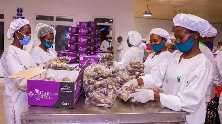 Featured image for "Going forward, in line with Rwanda’s aim to generate $1 billion in annual agricultural exports by 2024, Ntwari said that NAEB’s major focus will be on supporting increase in productivity and quality of prioritised value chains for export."