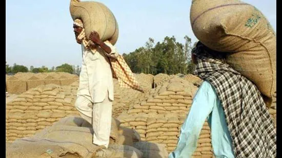 Featured image for "The new quality specification fixed by the central government for the procurement of paddy has irked rice millers and farmers in Punjab."