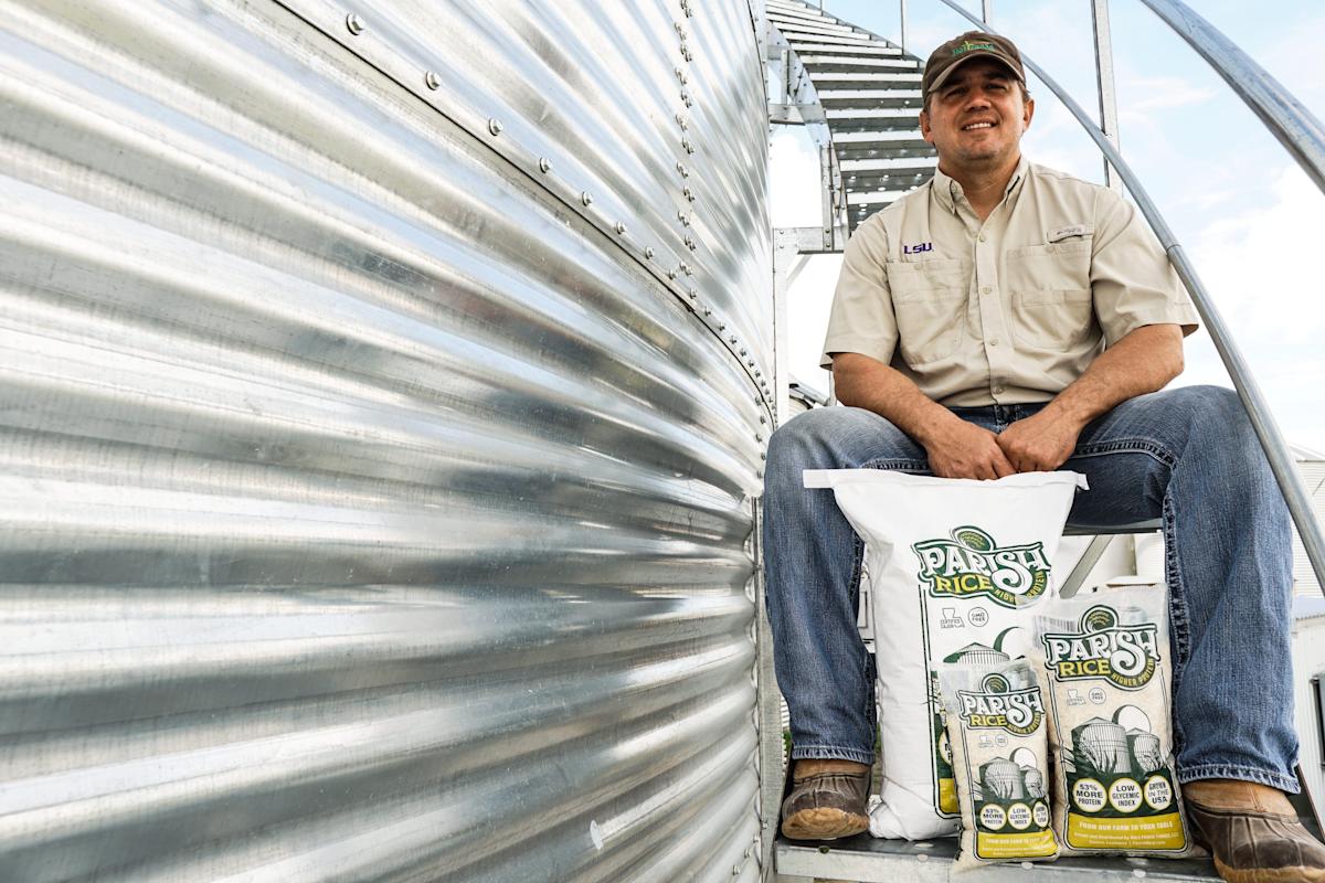 Featured image for "Rice may soon be able to return to the plates of many Louisianans with the development of a new, more nutritious type of white rice with 53% more protein and a low glycemic index score, which was created and farmed in Acadiana."