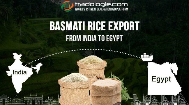 Featured image for "Egypt is a prominent rice market in the North African region with the country’s rice supply being tabulated at 60.9 kg paddy/capita/year. The demand is higher than production which makes the region dependent on rice imports. The government in the country imports rice from China, India, Thailand, and Russia."