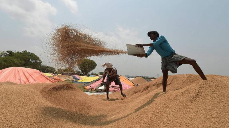 Featured image for "The Centre has conceded the demand of the Telangana government to purchase more rice from the state during the ongoing kharif season. It enhanced the procurement target by 6 lakh metric tonnes (LMT), from 40 LMT to 46 LMT."