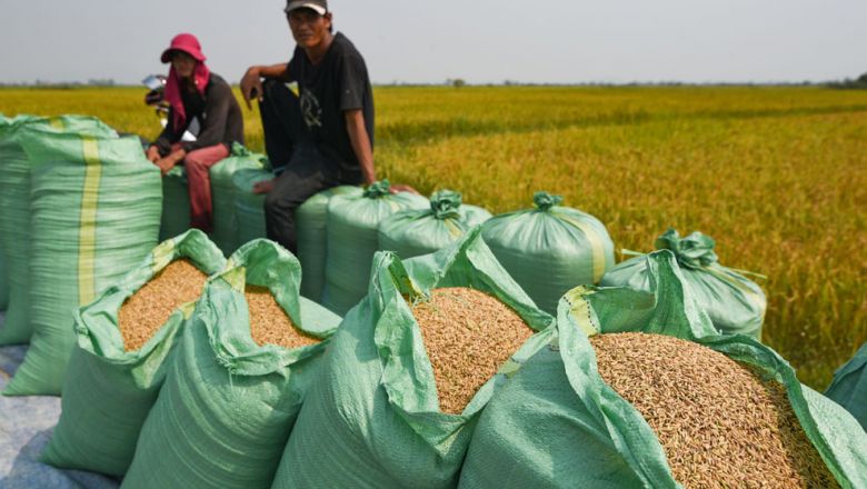 Featured image for "China will start to build 12 rice-paddy storage facilities and 10 drying silos across Cambodia next year, in a major move to transform the Kingdom into a key food supplier for the region and beyond, according to Ministry of Commerce spokesman Pen Sovicheat."