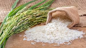Featured image for "The West African Rice Association (WARA) has commended Labana Rice Mills, Kebbi State for expanding its agribusiness programme to some African countries. "