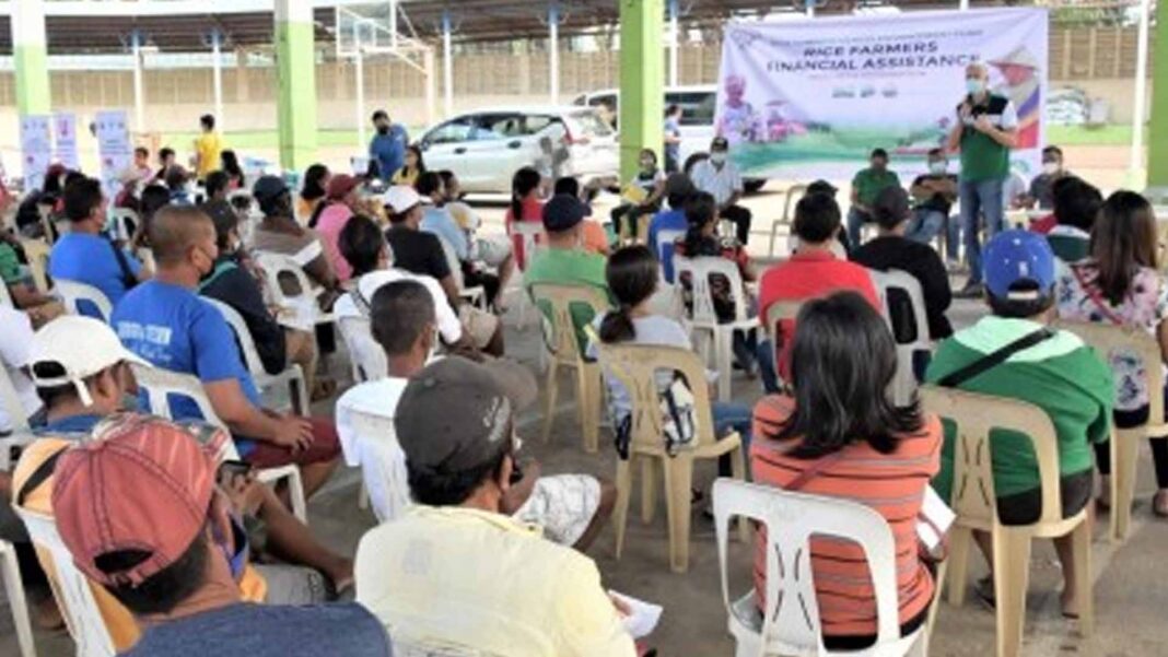 Featured image for "A total amount of PHP5.27 million was released by the Department of Agriculture (DA) to eligible rice farmers in Moises Padilla in central Negros Occidental as cash assistance from the"