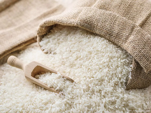 Featured image for "A new front has been opened for the export of basmati rice as Latin America (LatAM) has opened doors to Indian basmati rice for the first time. The LatAm countries have sent import enquiries to Indian basmati exporters who said consignments will leave Indian ports in December."