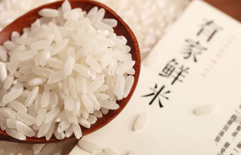 Featured image for "On the one hand, rinsing rice grains before cooking may cause loss of nutrients, but on the other hand it also reduces the risk of poisoning, so what is right? Here is the answer, the proof and also a recipe."