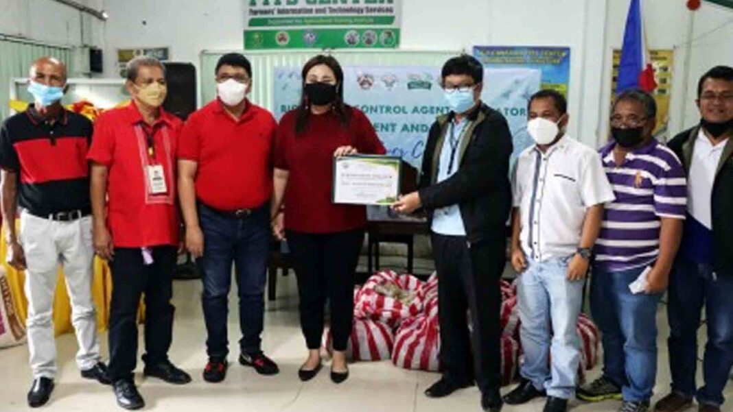 Featured image for "Rice farmers in five towns of Surigao del Sur can now benefit from a laboratory that will help eliminate pest infestation and rice farm diseases in the area, the Department of Agriculture in Caraga (DA-13) said Tuesday."