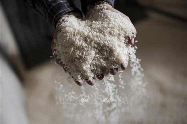 Featured image for "The paper quoted the Lao Ministry of Industry and Commerce as saying that rice brought home 52.7 million USD in 2020, but only 35 million USD in 2021. Its biggest market was China, followed by Vietnam and the European Union."