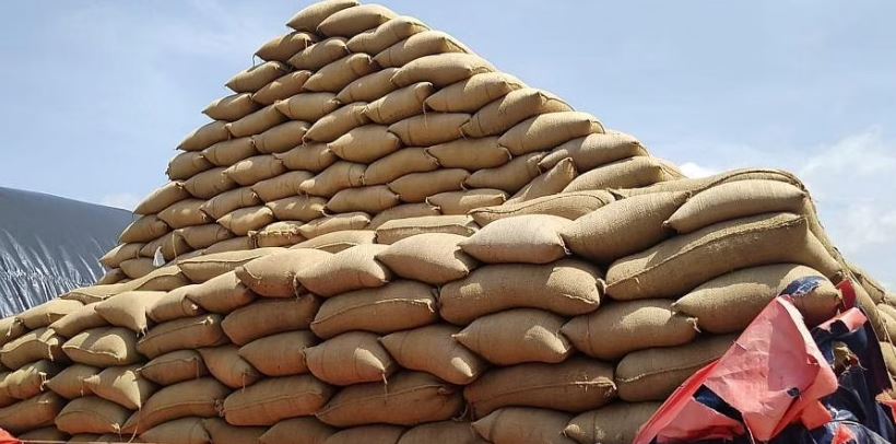 Featured image for "A whopping 1.53 lakh quintals of rice has been seized in vigilance raids in the State since 2019. However, Civil Supplies officials say it cannot be concluded that the seized rice was meant for the Public Distribution System (PDS)."