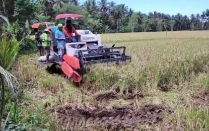 Featured image for "The Department of Agriculture (DA) has been upgrading the rice farmers’ methods of doing work by providing free machinery and equipment."