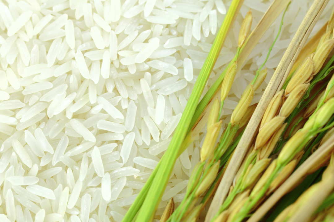 Featured image for "Rice is, perhaps, the grain least likely to be affected by Russia’s invasion of Ukraine. However, strength in prices across the grains and oilseeds index, because of the major role of both countries in the wheat market and that of Ukraine in sunflowers, has crossed over to rice, pushing prices up, although ample supplies have held back the increase."