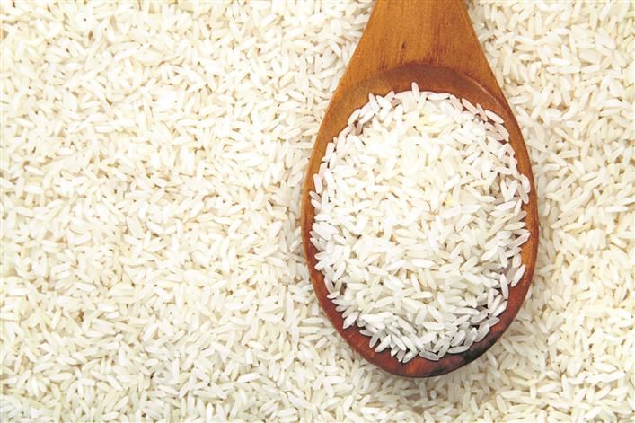 Featured image for "The price of 1121 variety of basmati rice has witnessed a considerable jump in the open market in Haryana, fetching up to Rs 1,061 per quintal more compared to last time."