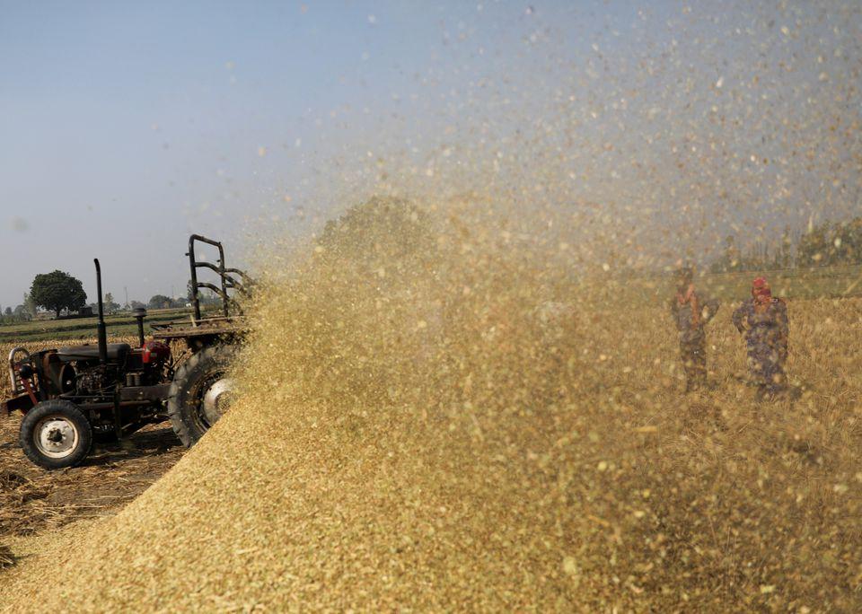 Featured image for "Vietnamese rice export prices rose this week driven by robust demand, while rates for the grain shipped out from top exporter India eased on a plunge in the rupee and"