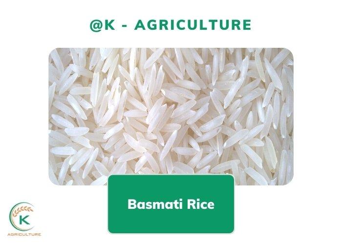 Featured image for "Basmati rice is well-known in West Asian countries such as India, Pakistan, and Nepal. So, what is the current state of the wholesale basmati rice market? What is the potential"