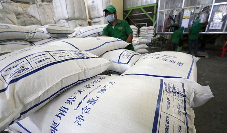 Featured image for "Cambodia exported 449,325 tonnes of milled rice to international markets in the first nine months of 2022, a 10 percent increase over that last year, the Cambodia Rice Federation (CRF)"