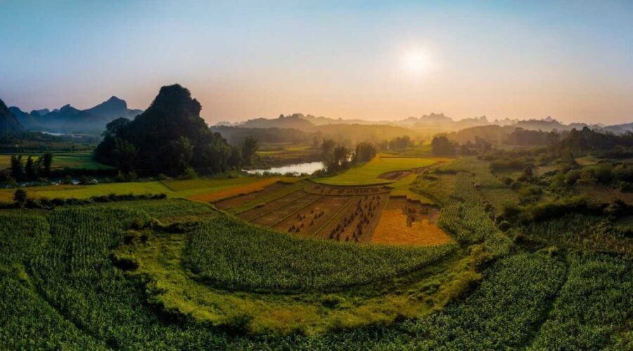 Featured image for "Rice fields on the Vietnam-China border shimmering yellow in autumn weatherIn September and October, paddy fields in Cao Bang Province on the border with China turn golden yellow, heralding the"