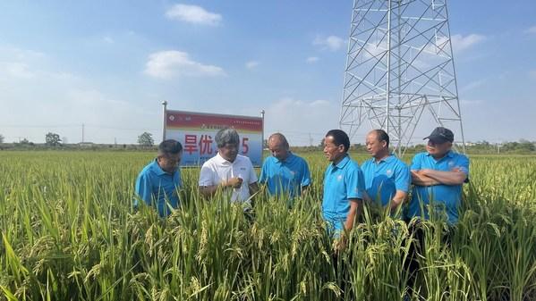 Featured image for "HEFEI, China, Oct. 8, 2022 /PRNewswire/ — A field demonstration and technical session on water-saving and drought-resistant rice (WDR) was held in Hefei, east China’s Anhui Province on Wednesday, to discuss and exchange views on WDR"